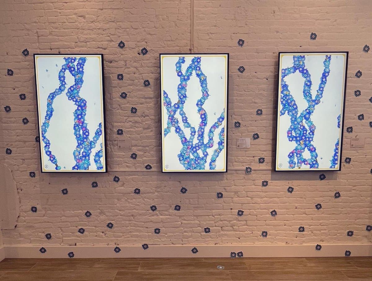 Blossom at BlackDove Solo Show, The NFT Gallery, NYC